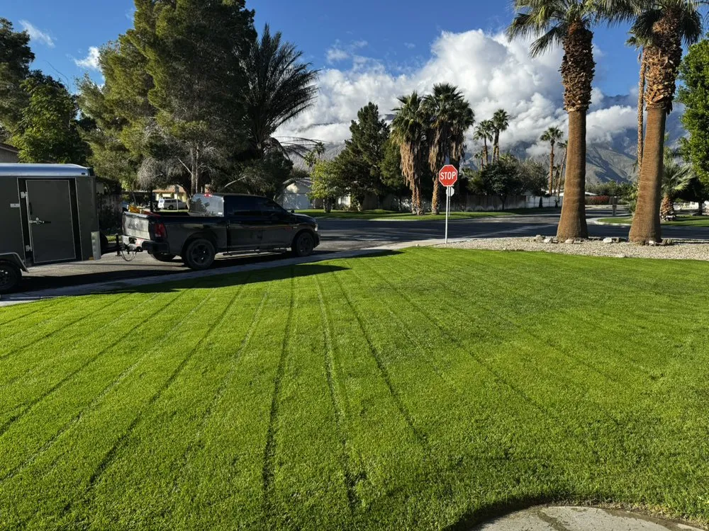 Professional yard maintenance experts serving Palm Desert, CA - Opulence Landscaping