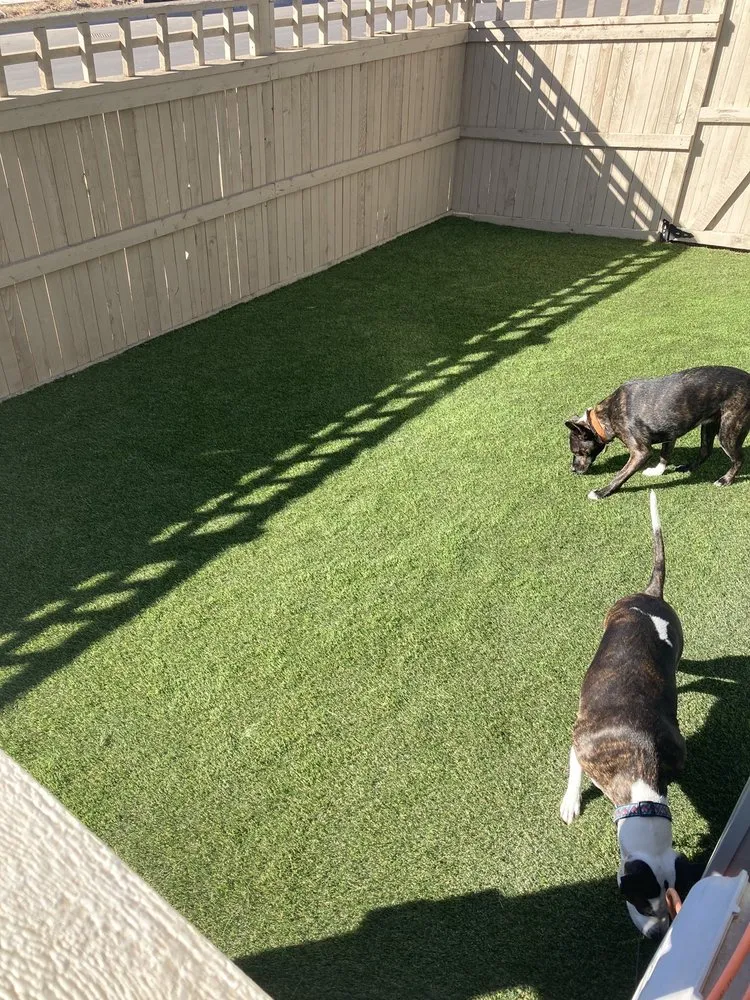 Reliable landscape installation for homes across Thornton, CO - Opulence Turf Solutions