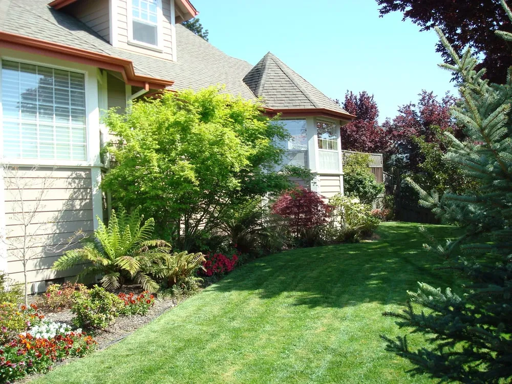 Top-rated landscape design in Sonoma, CA - Opus Horticultural And Landscape