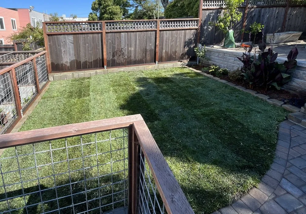 Trusted landscaping services experts serving Colma, CA - O.R Landscape & Maintenance