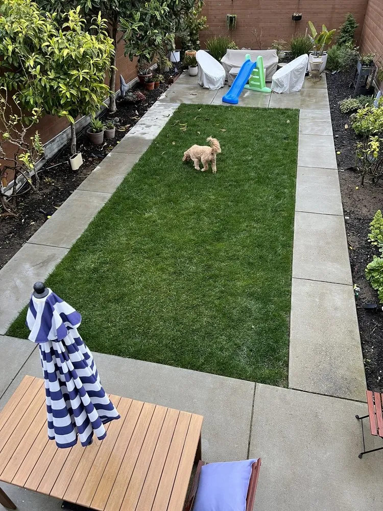 Custom landscaping services for beautiful yards across Colma, CA - O.R Landscape & Maintenance