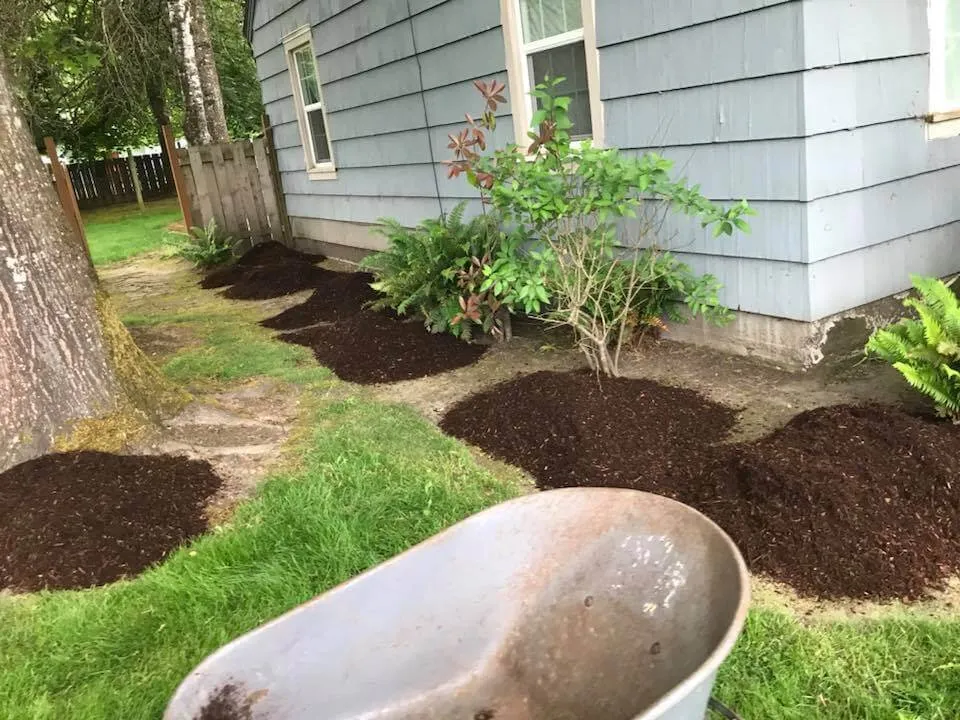 Trusted yard maintenance experts serving Lafayette, OR - OR Landscaping & Maintenance