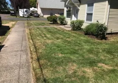 Top-rated landscaping services for outdoor upgrades across Lafayette, OR - OR Landscaping & Maintenance