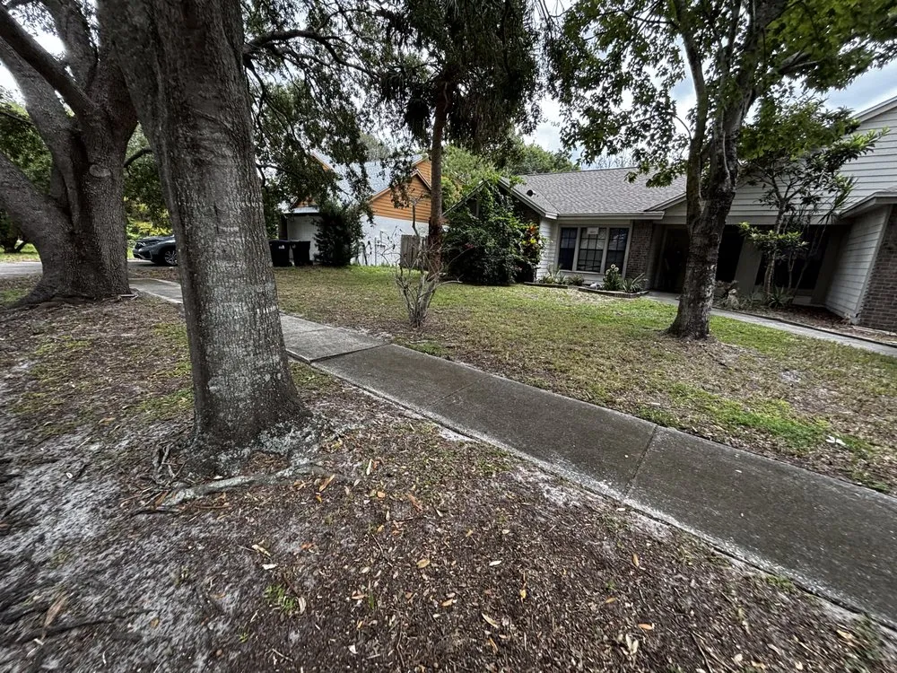 Top-rated lawn care service experts serving Aloma, FL - Orange Blossom Landscapes