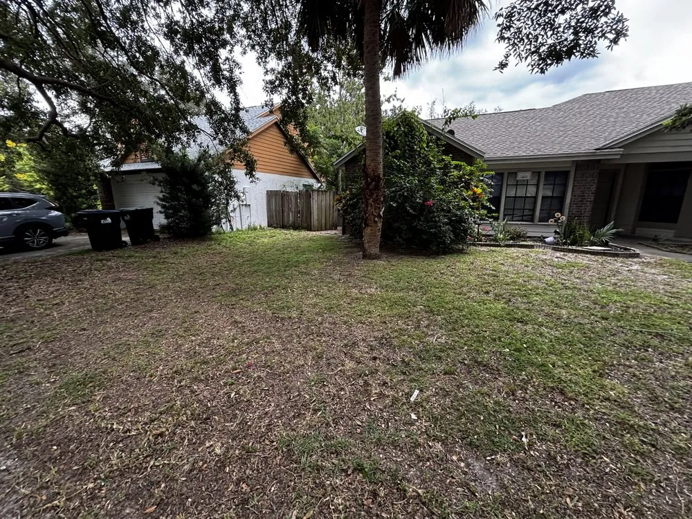 Expert landscaping services in Aloma, FL by Orange Blossom Landscapes