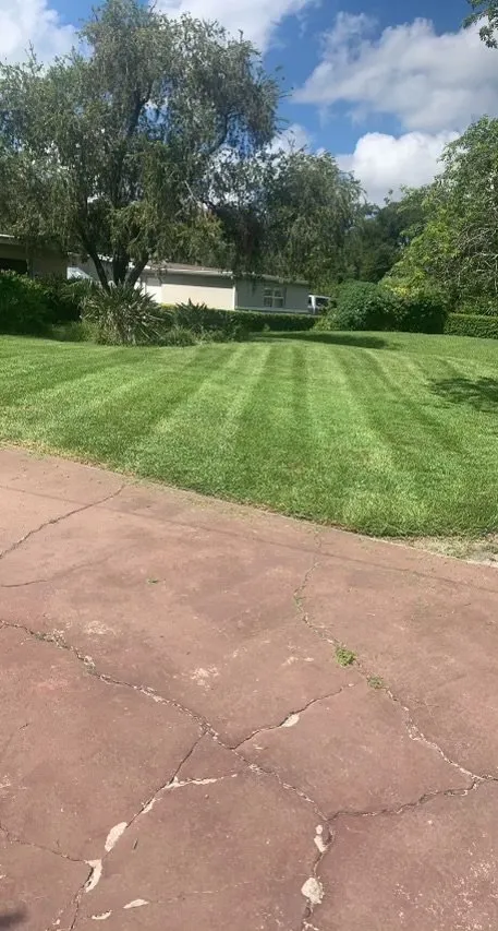 Custom landscaping services in Kissimmee, FL - Orange County Lawn Care, Inc.