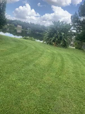 Orange County Lawn Care, Inc. Logo