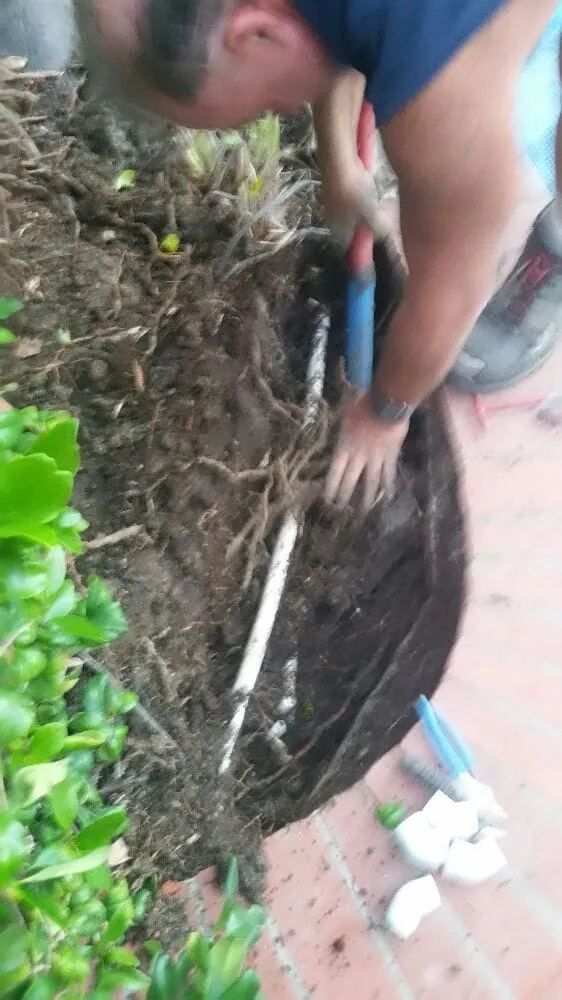 Affordable lawn care service in Tustin, CA - Orange County Sprinkler Repair