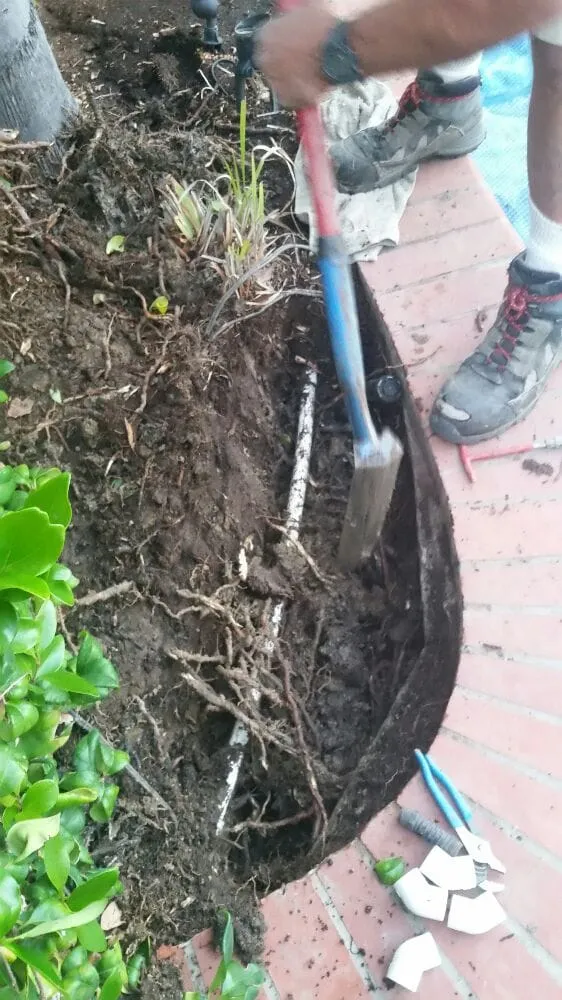 Custom yard maintenance in Tustin, CA by Orange County Sprinkler Repair