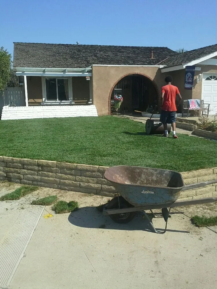 Custom outdoor landscaping for beautiful yards across Tustin, CA - Orange County Sprinkler Repair