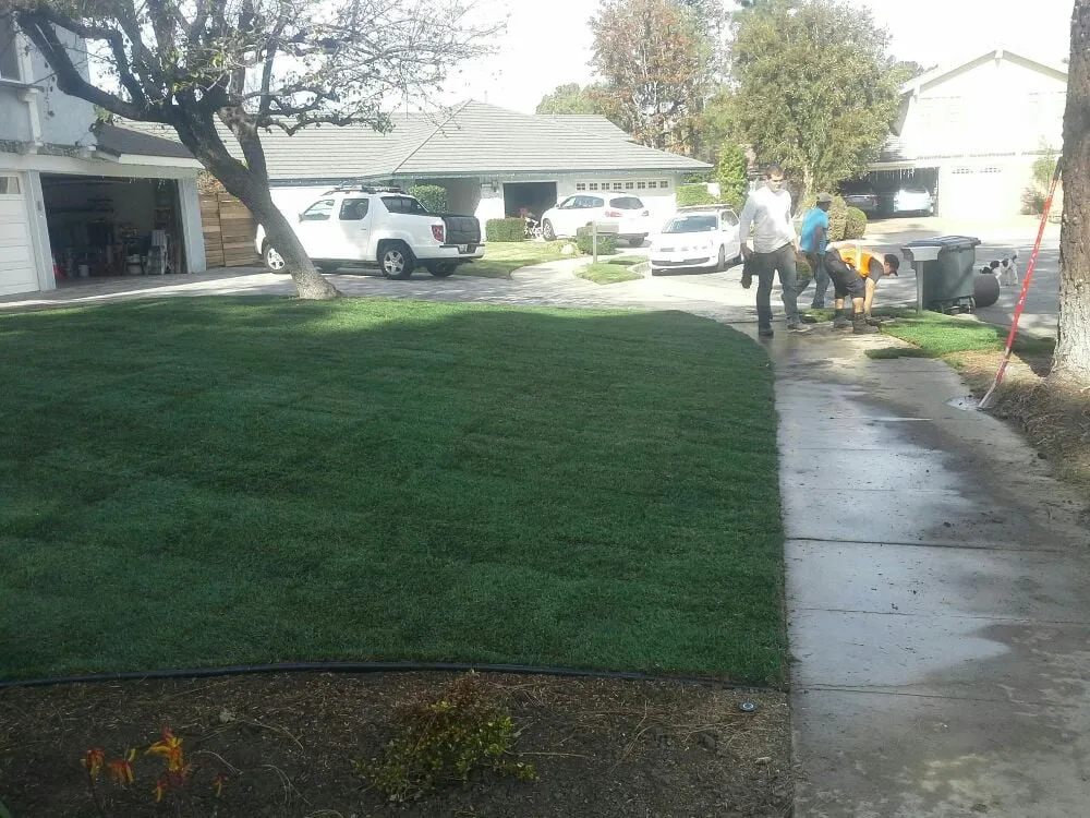 Reliable landscape installation in Tustin, CA by Orange County Sprinkler Repair