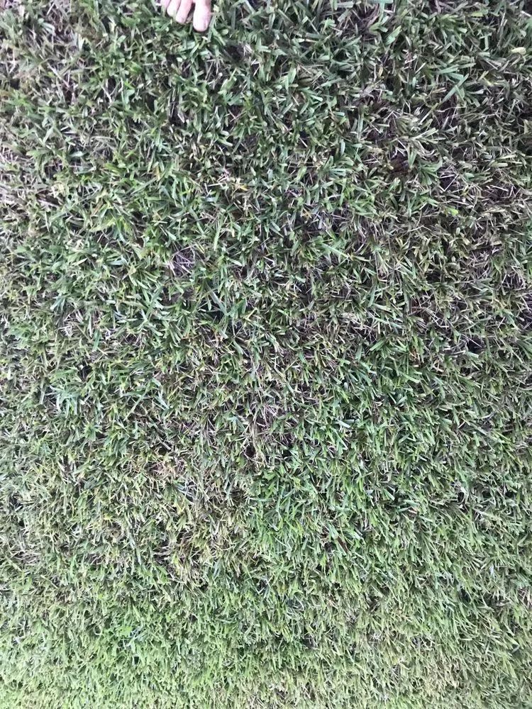 Affordable landscaping services in Orange Park, FL - Orange Environmental Services