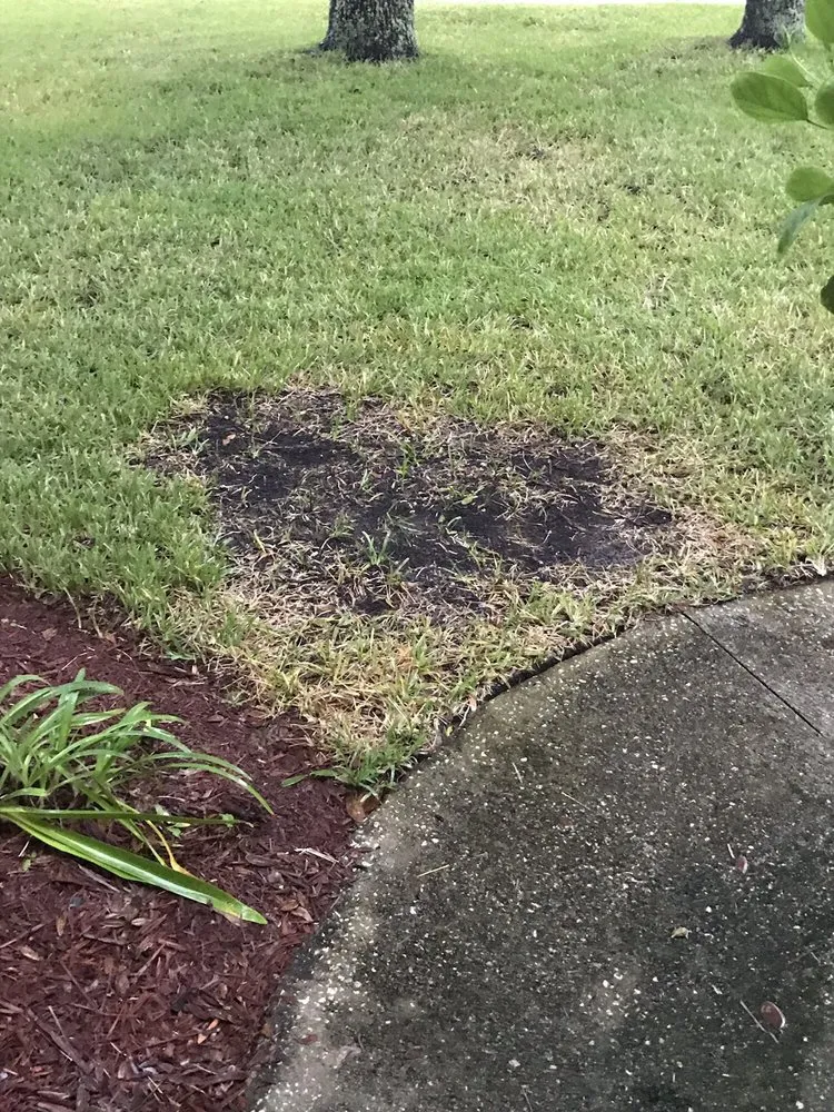 Custom landscape installation in Orange Park, FL by Orange Environmental Services