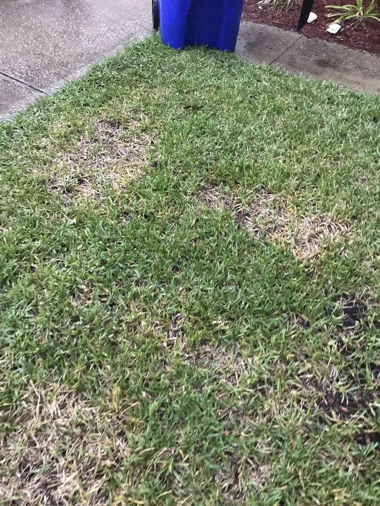 Local landscaping services for residential properties in Orange Park, FL by Orange Environmental Services