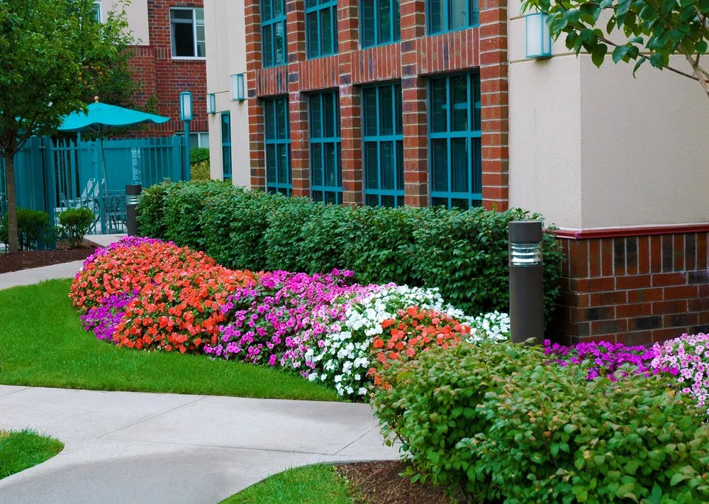 Expert residential landscaping in Fort Lauderdale, FL - Orange Landscape Management