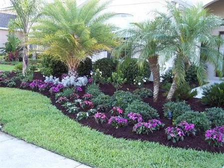 Custom yard cleanup service in Wesley Chapel, FL - Orange Landscape Management