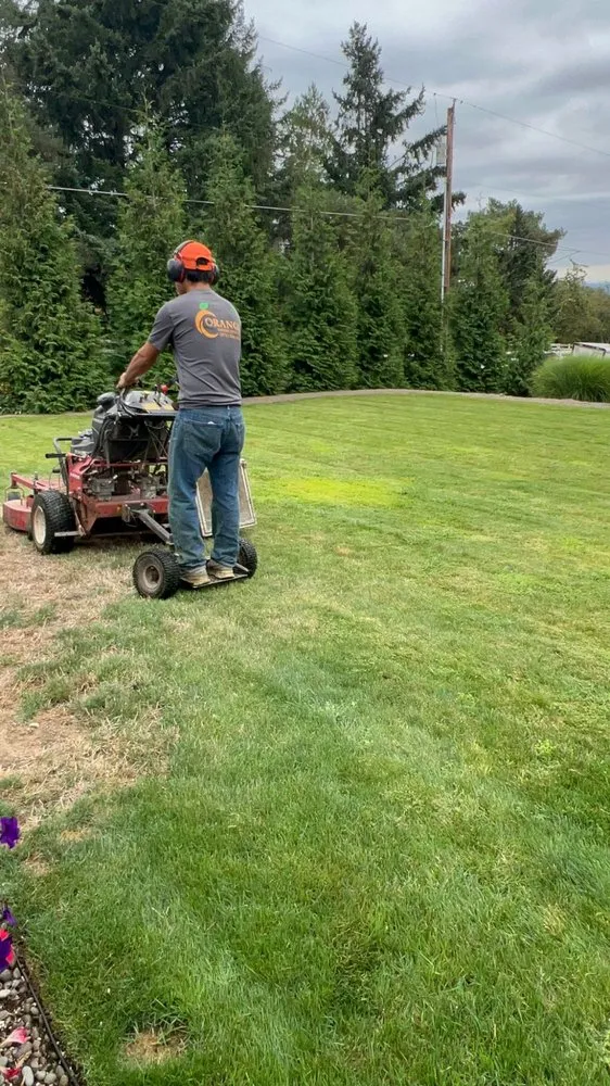 Local landscape installation in Woodburn, OR by Orange Landscape