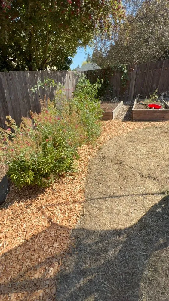 Local lawn mowing service with custom design across Woodburn, OR - Orange Landscape