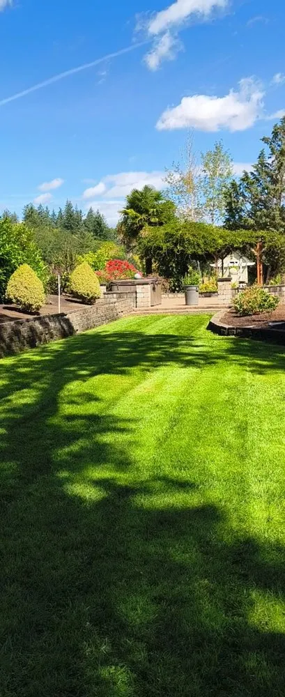 Top-rated lawn care service for homes across Woodburn, OR - Orange Landscape