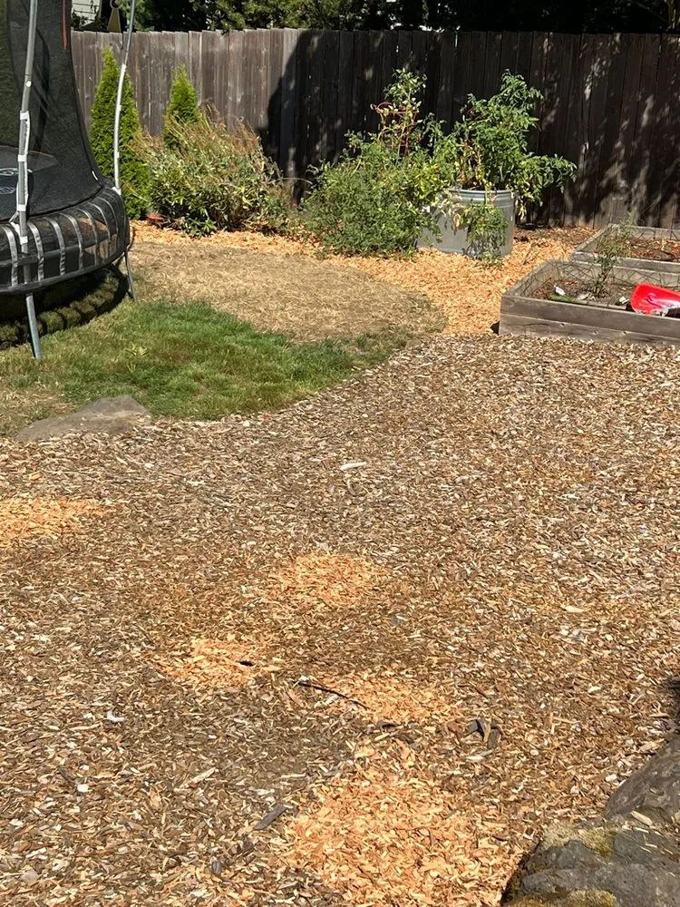 Reliable residential landscaping in Woodburn, OR - Orange Landscape