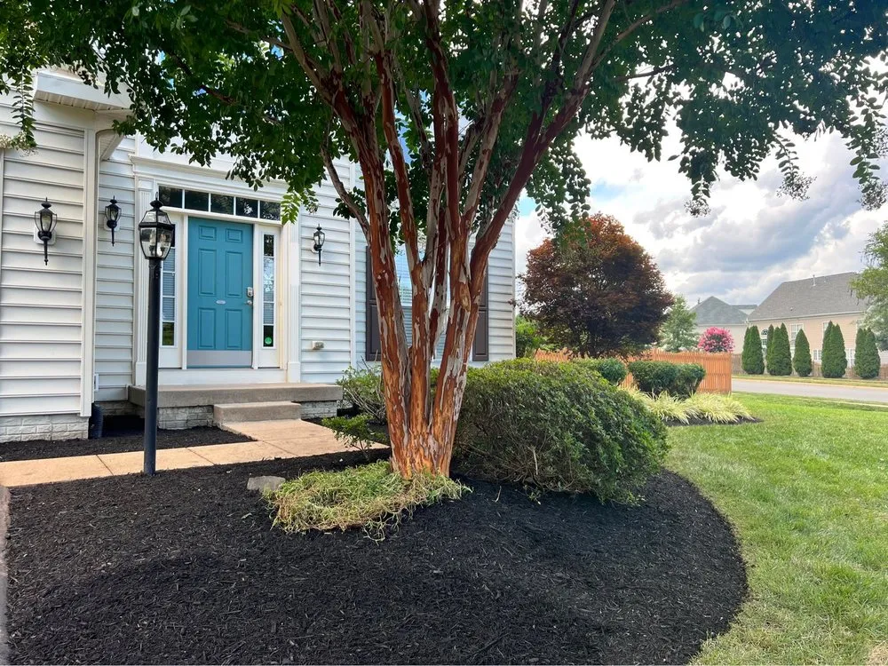 Affordable lawn care service for homes in Nokesville, VA by Orange Landscaping & Construction