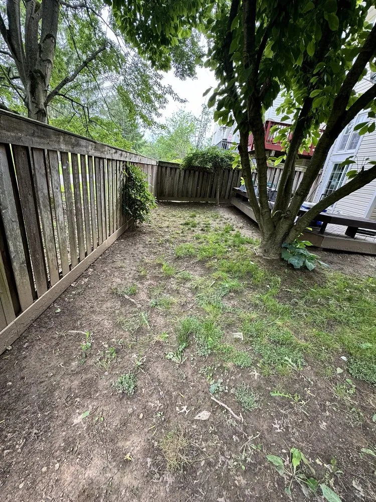 Professional yard maintenance in Nokesville, VA - Orange Landscaping & Construction