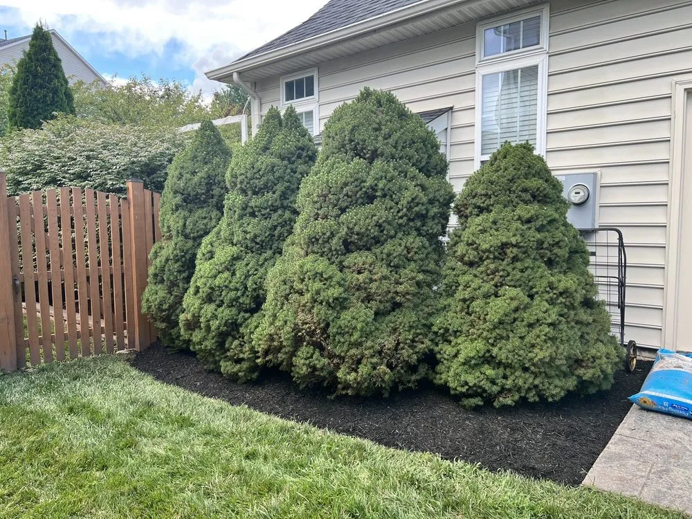 Affordable landscape installation experts serving Nokesville, VA - Orange Landscaping & Construction