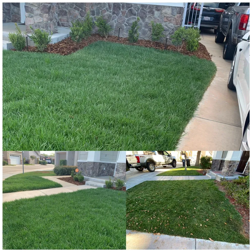 Top-rated landscape design with custom design in Los Angeles, CA by Orange Oak Landscaping