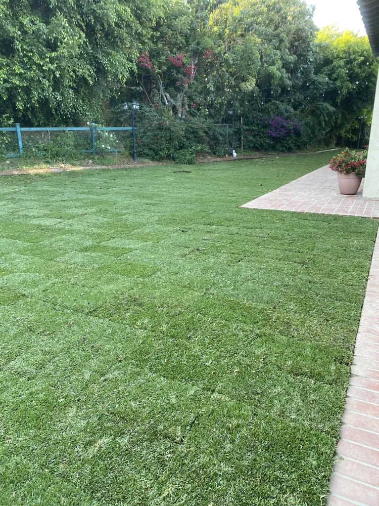 Expert lawn care service experts serving Los Angeles, CA - Orange Oak Landscaping