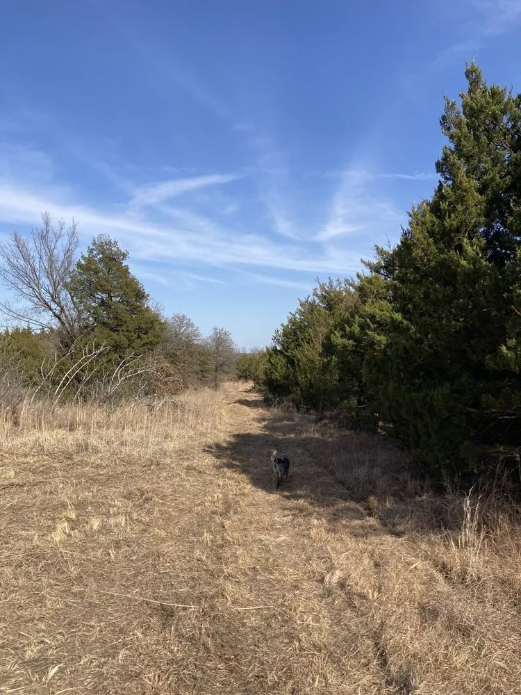 Custom landscaping services in Stillwater, OK - Orange Power Mowing