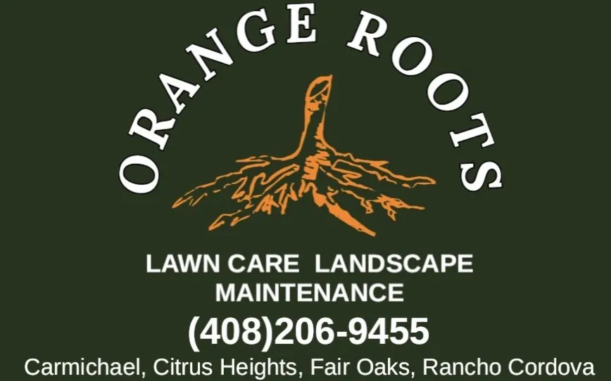 Professional outdoor landscaping in Carmichael, CA by Orange Roots