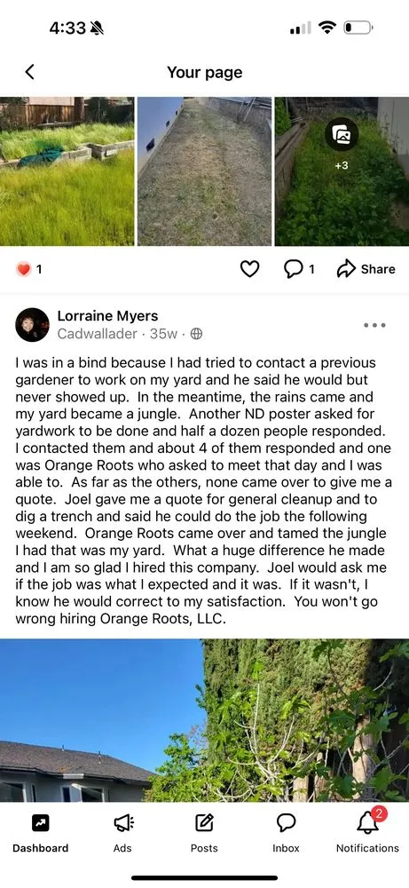 Professional landscape installation experts serving Carmichael, CA - Orange Roots