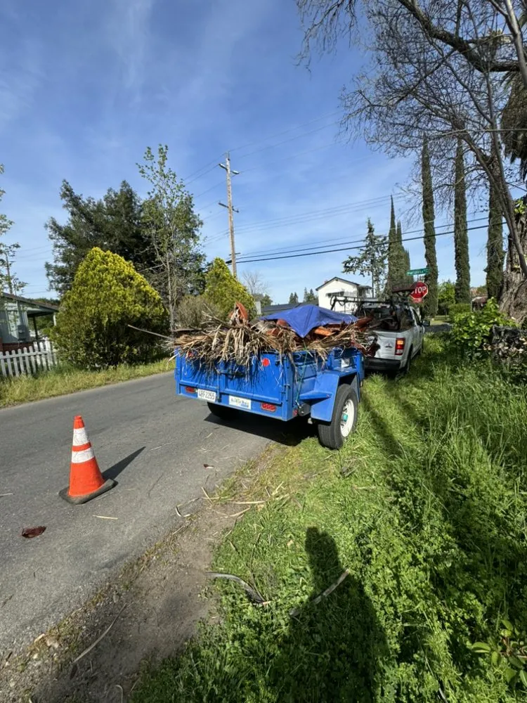 Trusted lawn care service for year-round maintenance in Carmichael, CA by Orange Roots