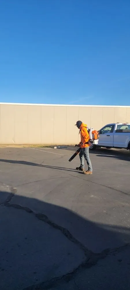 Custom landscape design in Carmichael, CA by Orange Roots