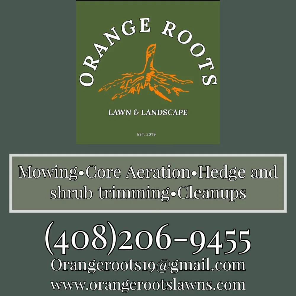 Professional lawn mowing service in Carmichael, CA by Orange Roots