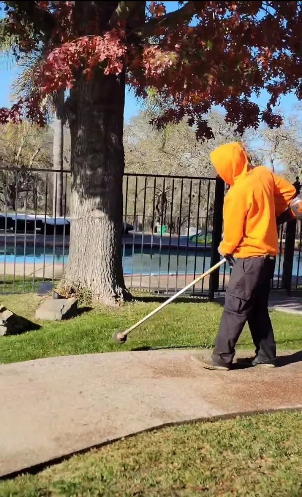 Custom lawn mowing service near you across Carmichael, CA - Orange Roots