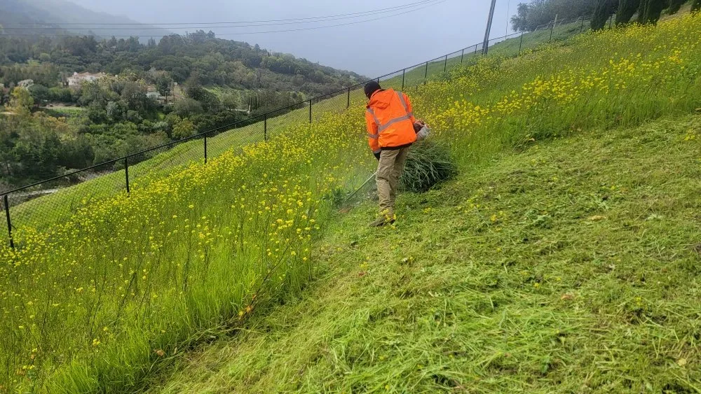 Trusted garden landscaping for residential properties in Carmichael, CA by Orange Roots