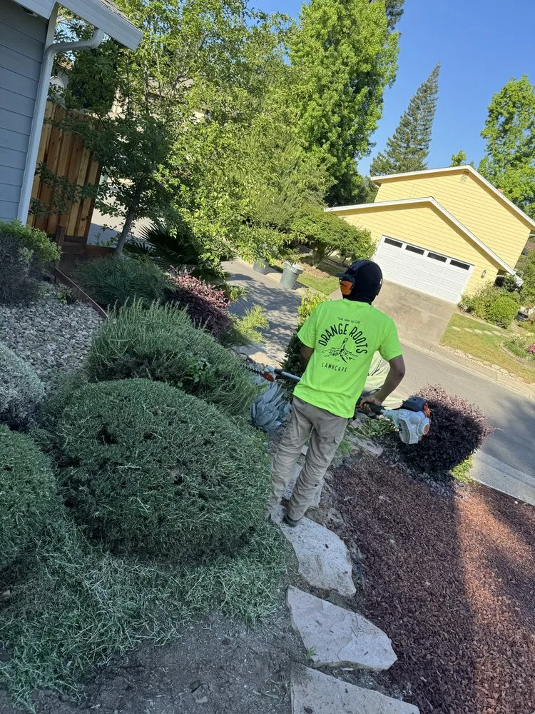 Top-rated lawn mowing service in Carmichael, CA by Orange Roots