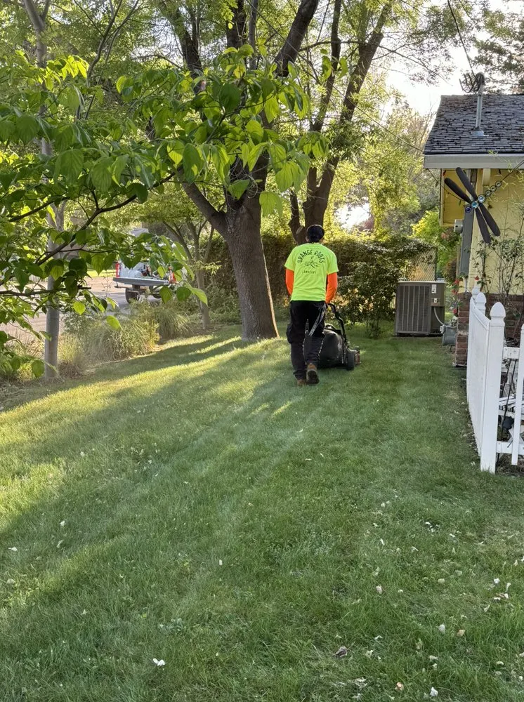 Trusted yard maintenance in Carmichael, CA - Orange Roots