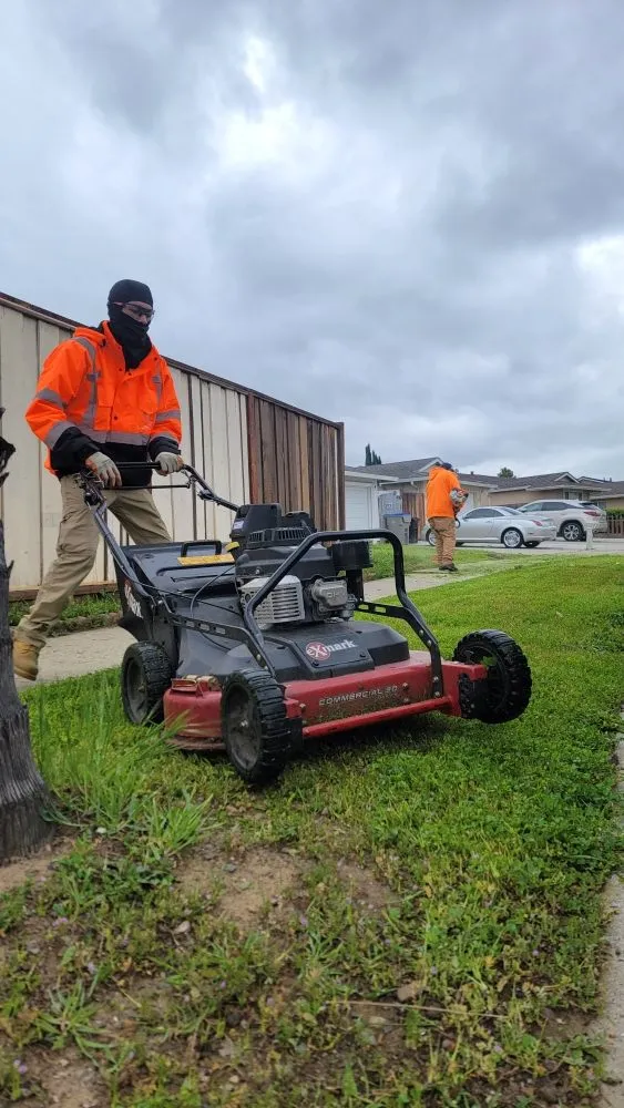 Affordable residential landscaping for year-round maintenance across Carmichael, CA - Orange Roots