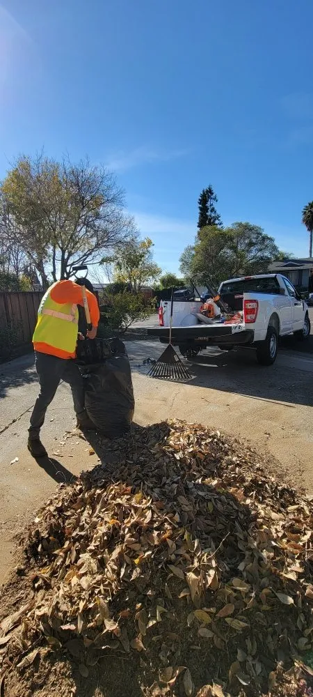 Local landscape installation experts serving Carmichael, CA - Orange Roots