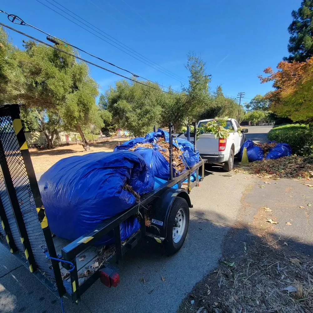 Custom lawn care service experts serving Carmichael, CA - Orange Roots