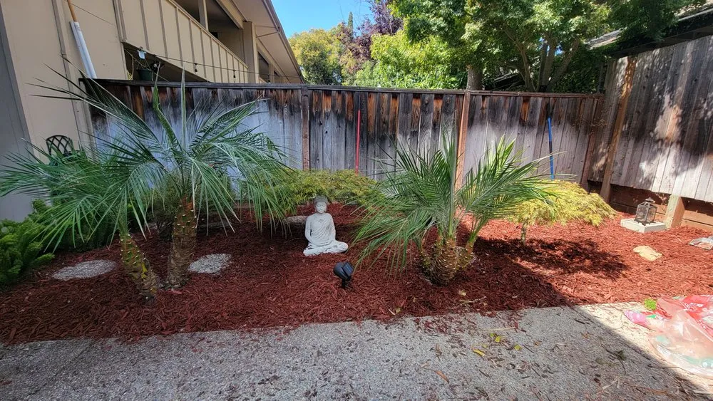 Professional lawn care service in Carmichael, CA - Orange Roots