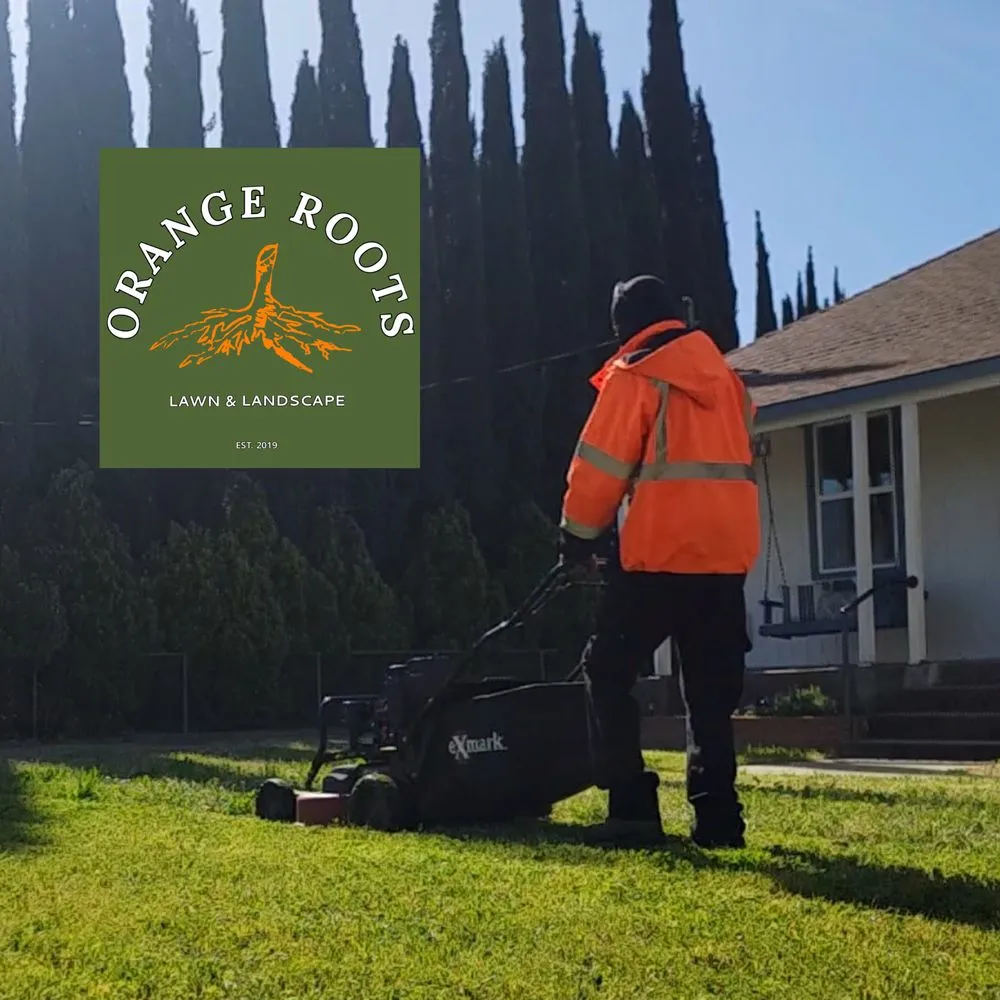 Professional landscape design for beautiful yards in Carmichael, CA by Orange Roots