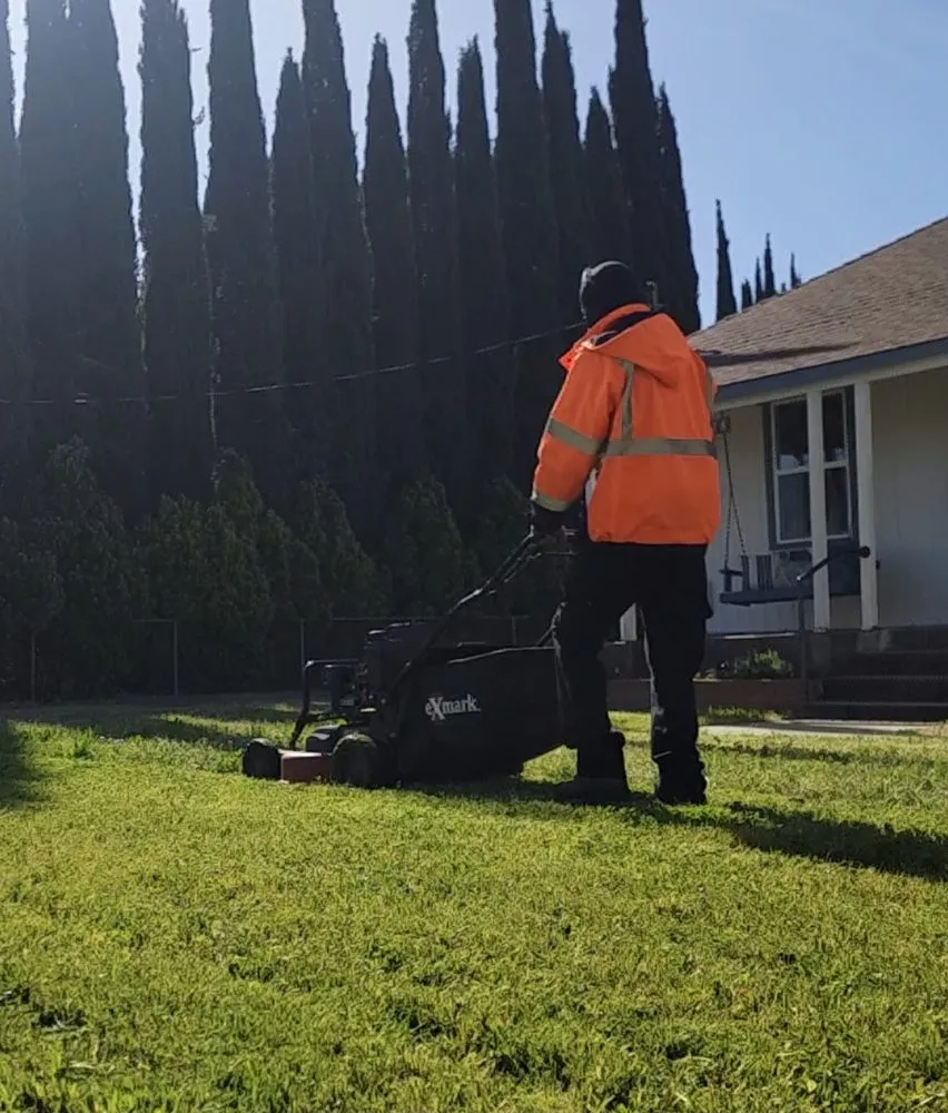 Top-rated outdoor landscaping in Carmichael, CA - Orange Roots