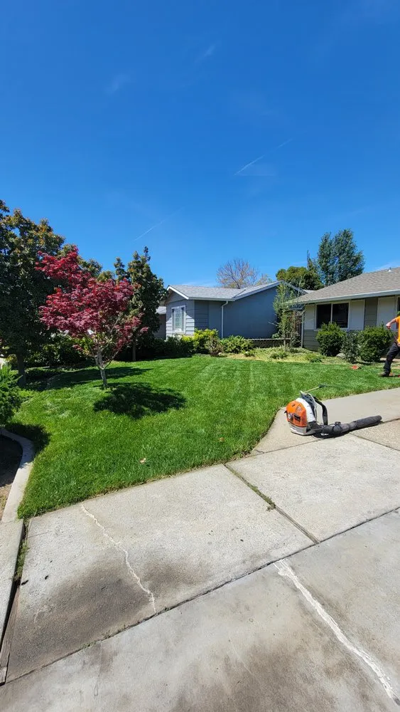Professional landscaping services in Carmichael, CA by Orange Roots
