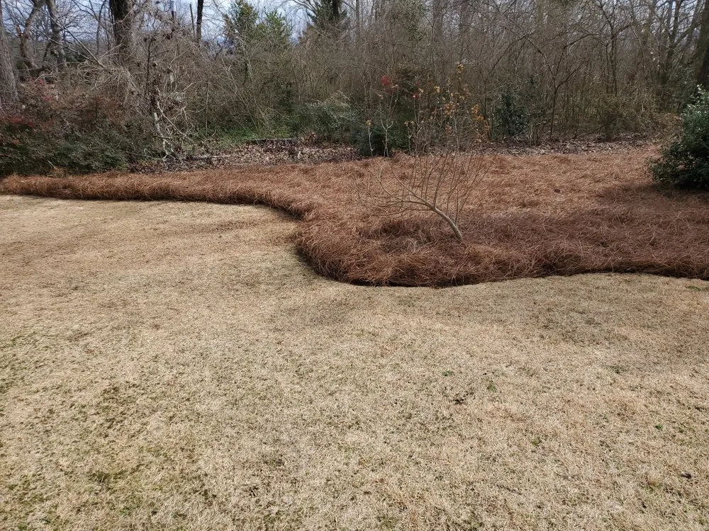 Reliable landscape design in Trussville, AL by Orange Tree Landscape Services