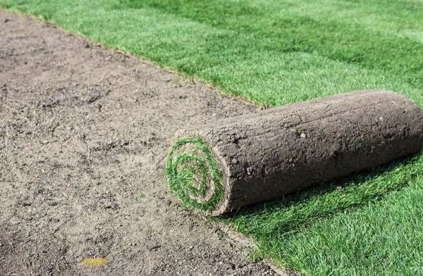 Orange Tree Landscape Services