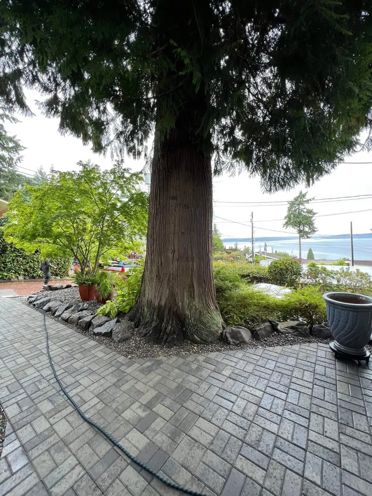 Top-rated outdoor landscaping in TACOMA, WA - Orange Trees Garden and Landscape