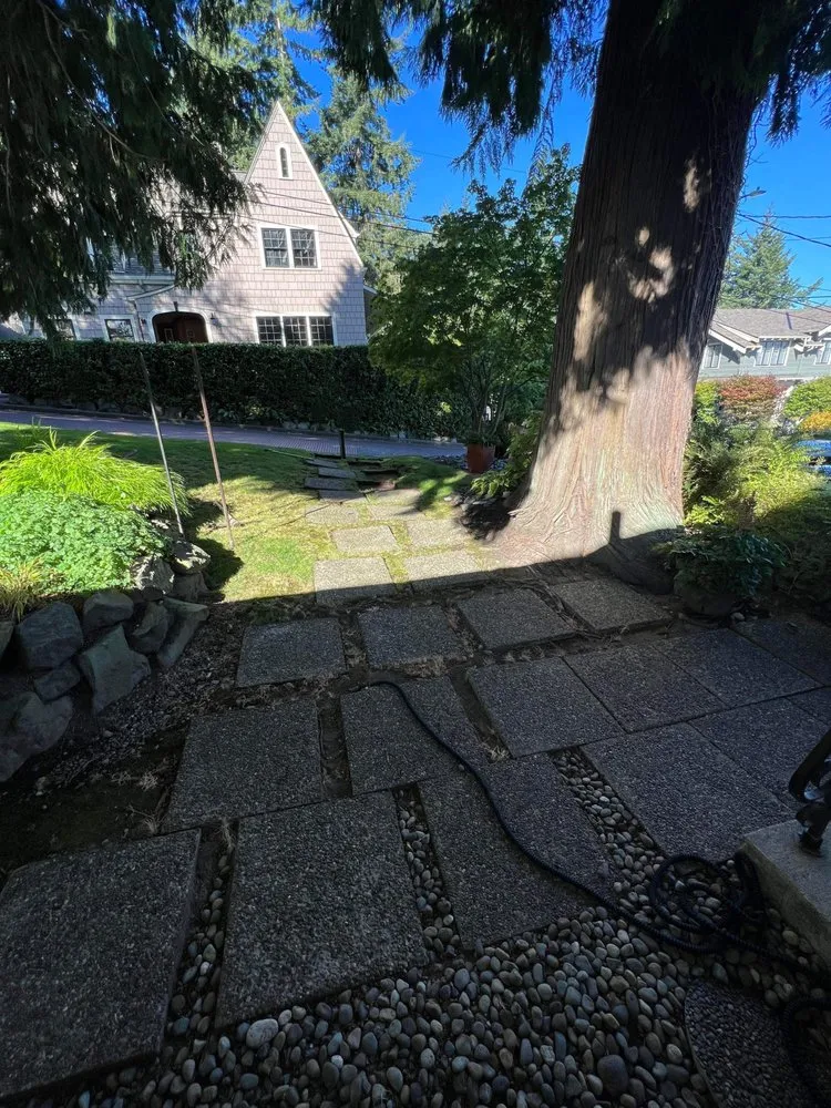 Reliable landscape design experts serving TACOMA, WA - Orange Trees Garden and Landscape